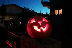 IMG_20191031_172918-2